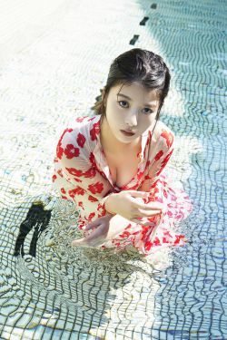 泰迪熊2